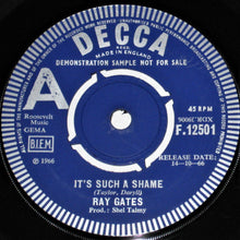 Load image into Gallery viewer, Ray Gates : It&#39;s Such A Shame (7&quot;, Promo)
