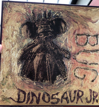 Load image into Gallery viewer, Dinosaur Jr. : Bug (LP,Album)
