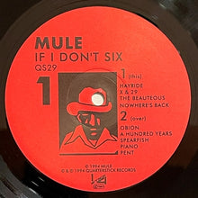 Load image into Gallery viewer, Mule : If I Don&#39;t Six (LP,Album)
