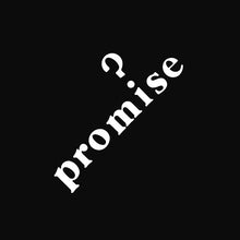 Load image into Gallery viewer, Promise (12) : Promise (LP, RE, RM)
