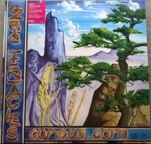 Charger l&#39;image dans la galerie, Ozric Tentacles : Curious Corn (2xLP, Album, RE, Gat)
